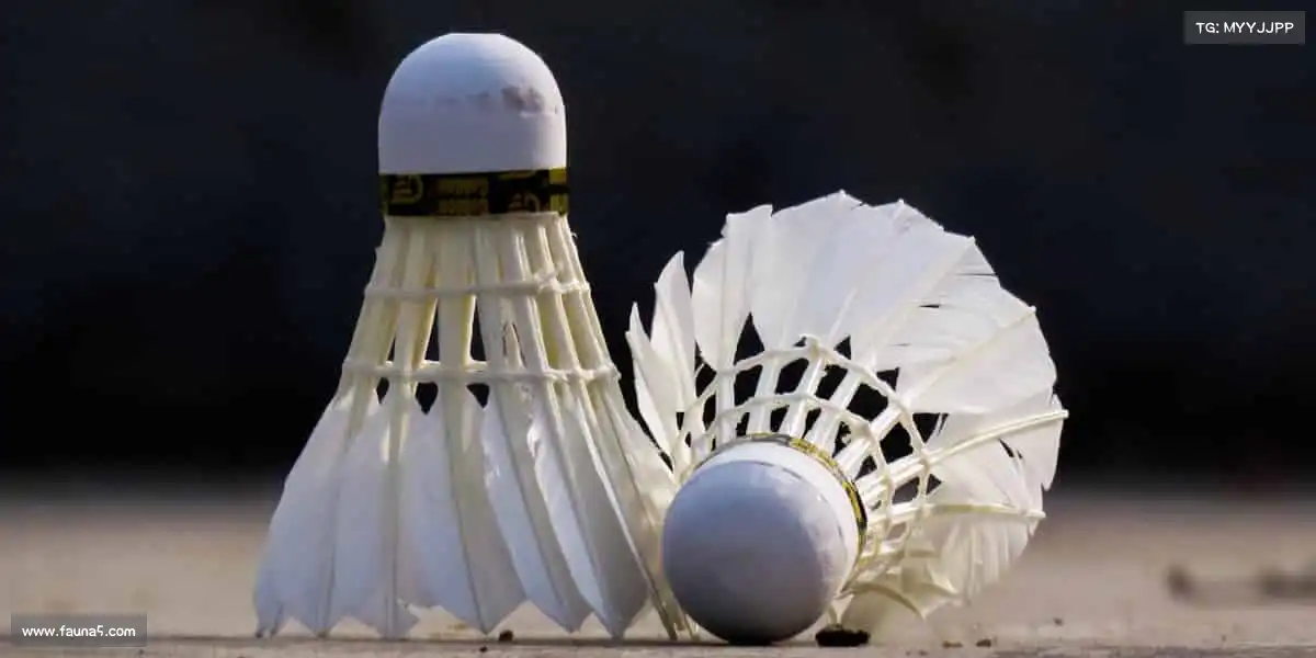 九游老哥——挑战极限,你的潜能远超想象!⛰️